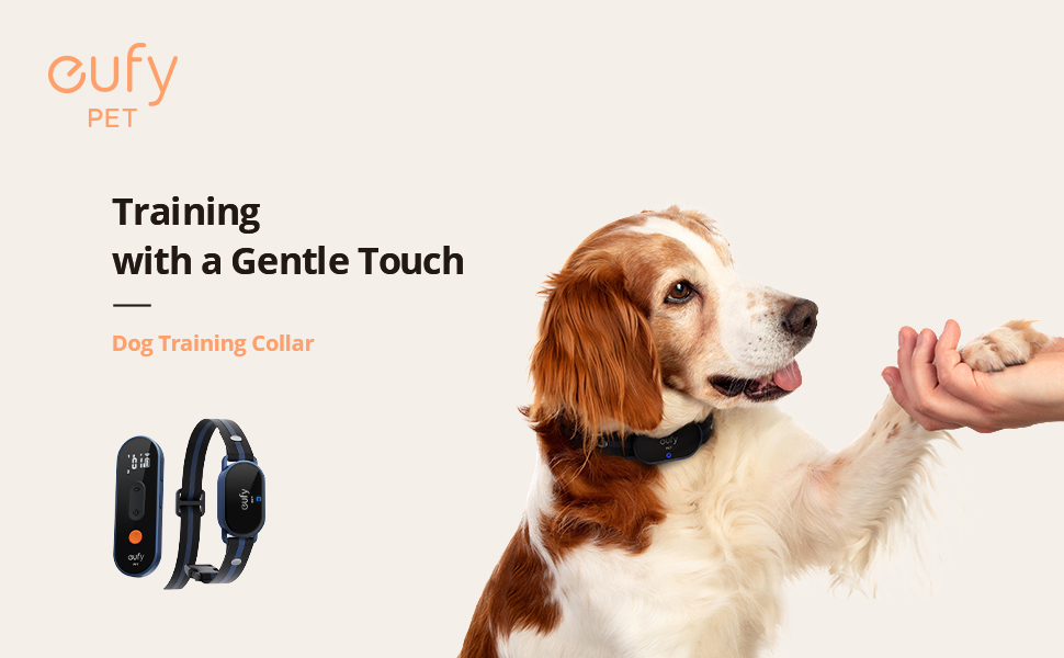 dog control collar